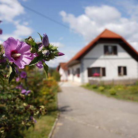 House Of Culture And Nature - Hisa Kulture In Nature Zagradec Экстерьер фото