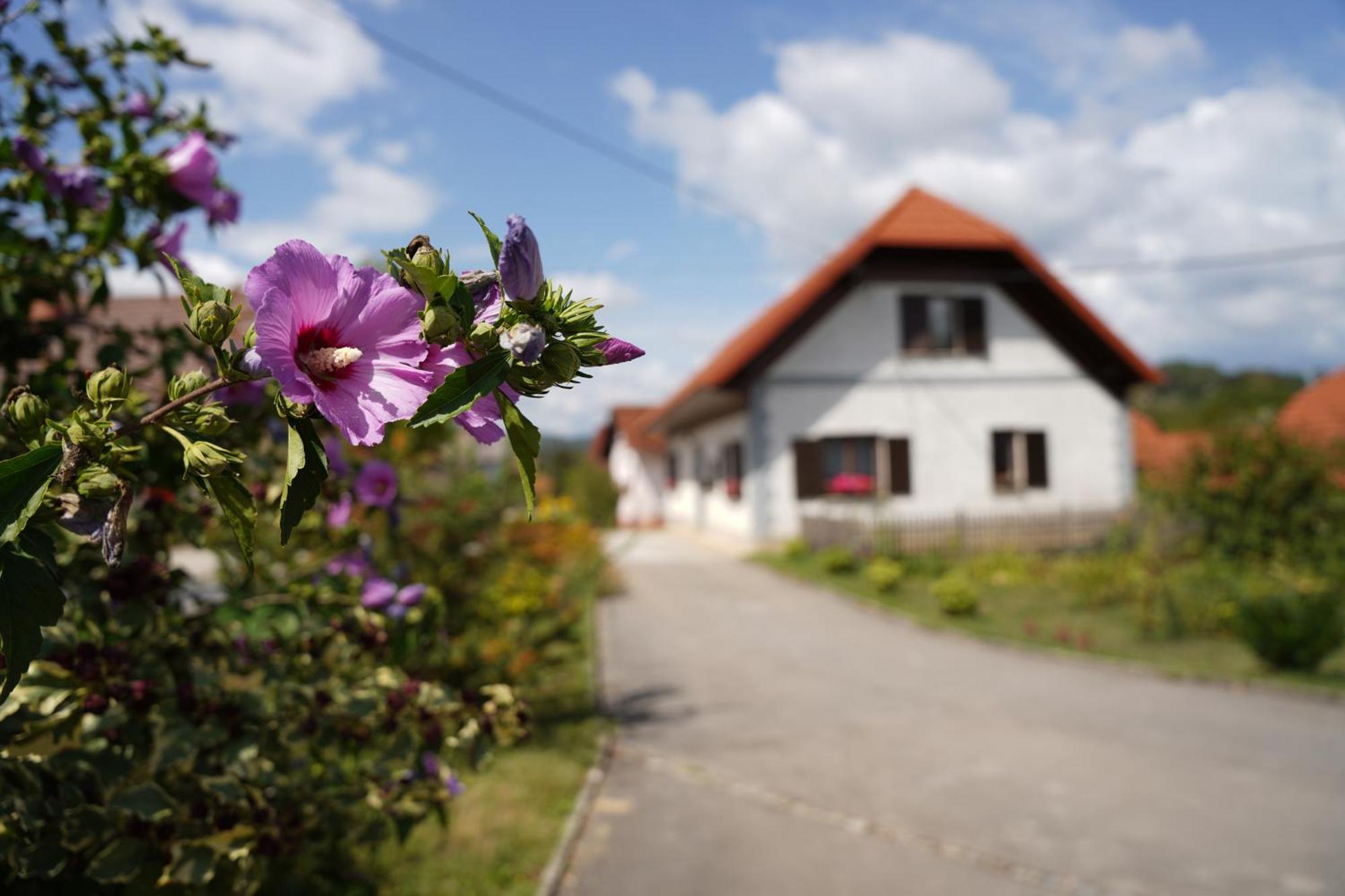 House Of Culture And Nature - Hisa Kulture In Nature Zagradec Экстерьер фото